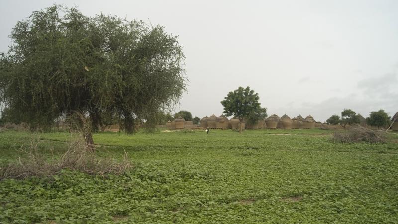 49.	Paisajes, proyecto Soutoura de Ángel Luis Aldai, Casa África