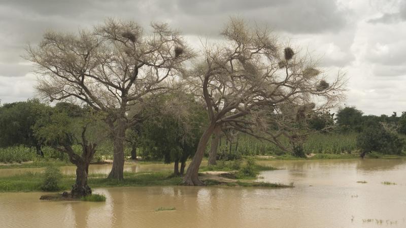 52.	Paisajes, proyecto Soutoura de Ángel Luis Aldai, Casa África