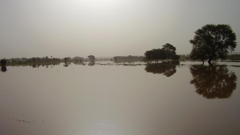 5.	Paisaje de Tidjikja (Mauritania, 2005)