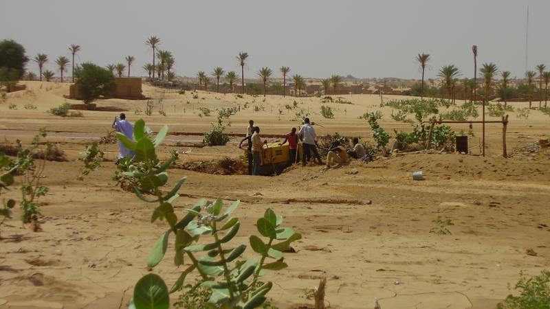 6.	Paisaje de Tidjikja (Mauritania, 2005)