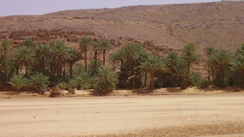 12.	Paisaje de Tidjikja (Mauritania, 2005)