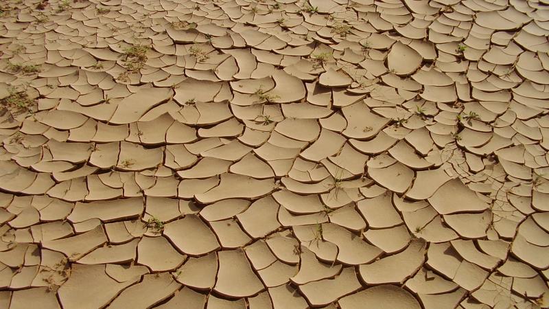15.	Paisaje de Tidjikja (Mauritania, 2005)