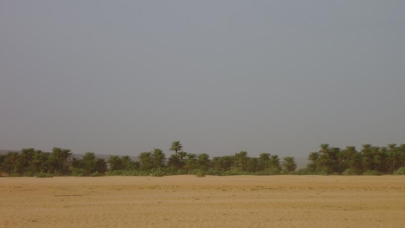 19.	Paisaje de Tidjikja (Mauritania, 2005)
