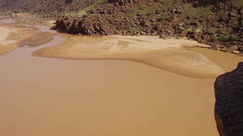 31.	Paisaje de Tidjikja (Mauritania, 2005)