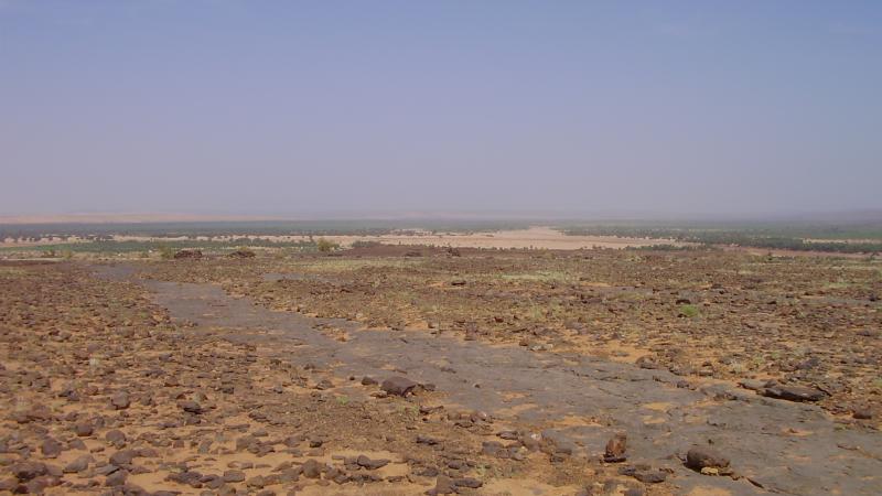 35.	Paisaje de Tidjikja (Mauritania, 2005)