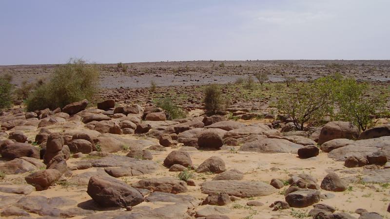 37.	Paisaje de Tidjikja (Mauritania, 2005)