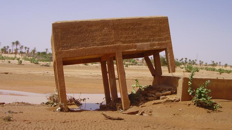 46.	Usos y costumbre de Tidjikja (Mauritania, 2005)