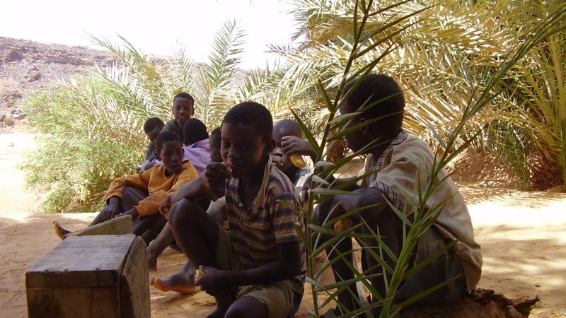 49.	Usos y costumbre de Tidjikja (Mauritania, 2005)