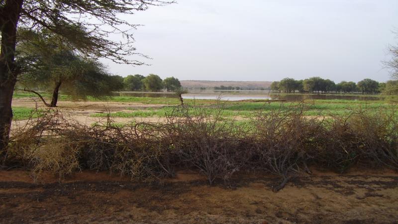 55.	Usos y costumbre de Tidjikja (Mauritania, 2005)
