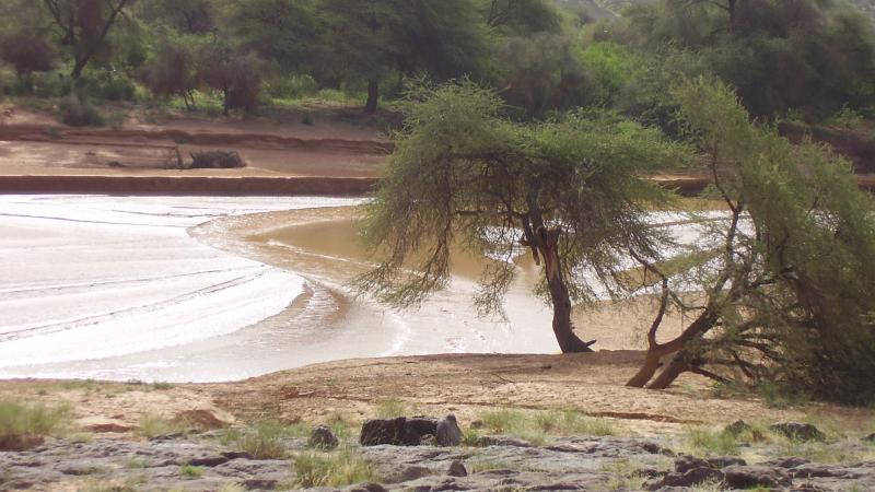 58.	Usos y costumbre de Tidjikja (Mauritania, 2005)