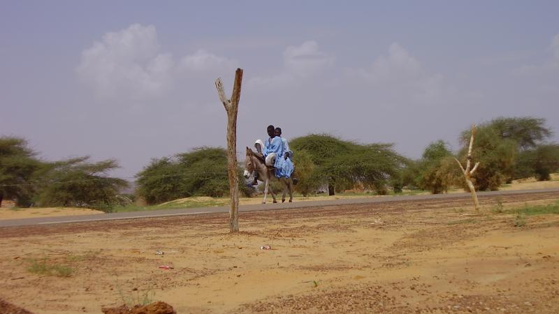 62.	Usos y costumbre de Tidjikja (Mauritania, 2005)