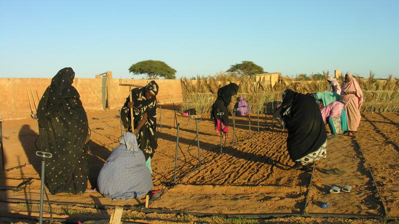 63.	Usos y costumbre de Tidjikja (Mauritania, 2005)