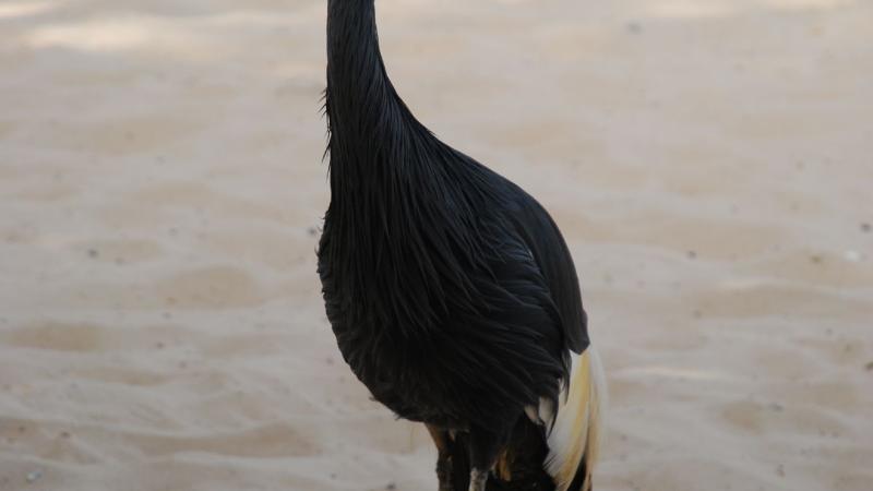19. Imágenes de Dakar, Senegal