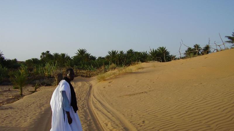 20.	Imagen del oasis Tkumkum en Chinguetti, Mauritania