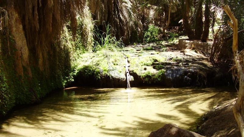 24.	Imagen de palmeral Tergit en Chinguetti, Mauritania