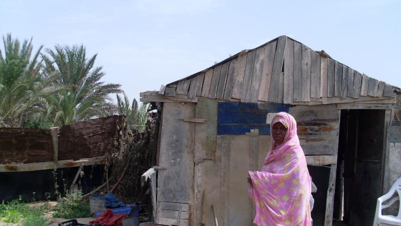 12. Imagen de un huerto en Nouadhibou, Mauritania