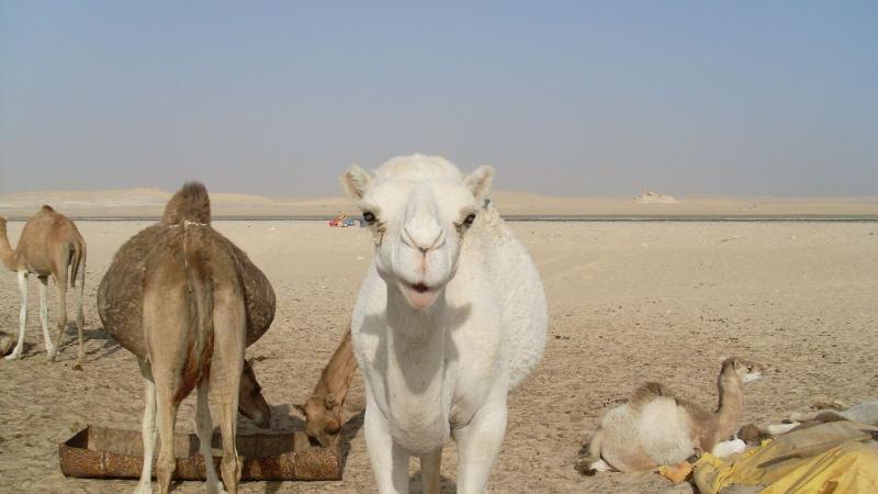 22. Imagen de los alrededores de Nouadhibou