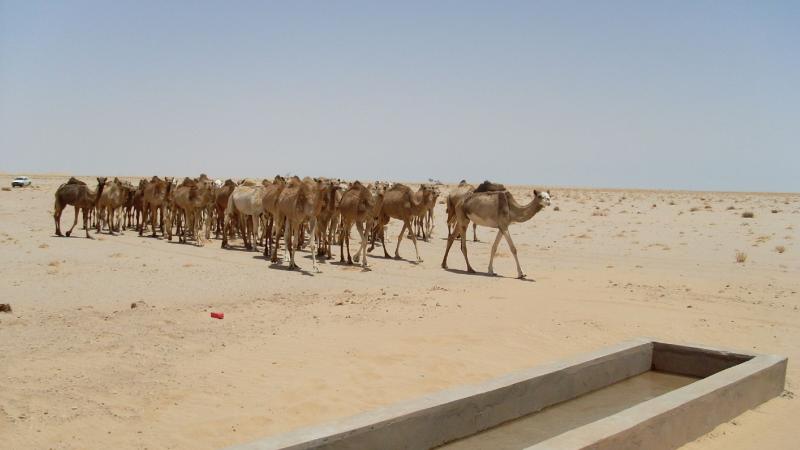 12. Imágenes de los bebederos de camellos, proyecto creado por MPDLC - Movimiento por la Paz, el Desarme y la Libertad en Canarias - en Boulaboir, Mauritania