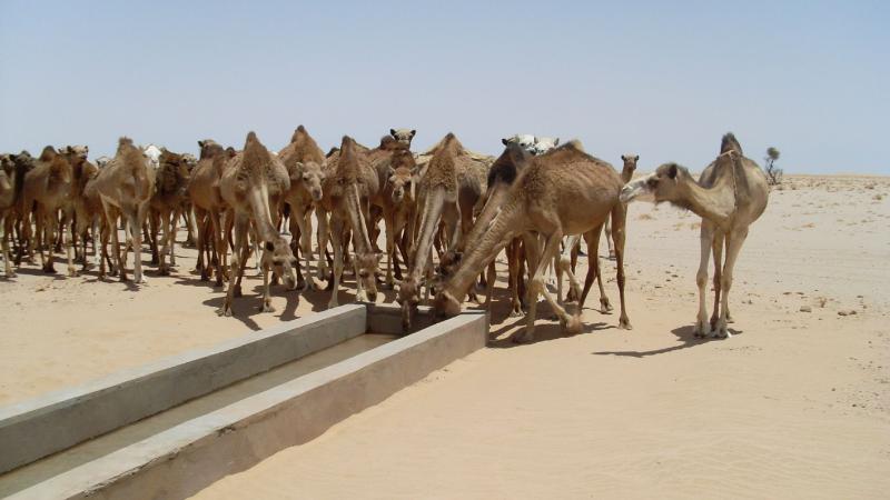 13. Imágenes de los bebederos de camellos, proyecto creado por MPDLC - Movimiento por la Paz, el Desarme y la Libertad en Canarias - en Boulaboir, Mauritania