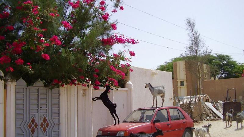 15.	Imágenes de la ciudad de Nouakchott, capital de Mauritania