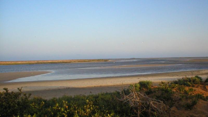 2. Imágenes del Parque Nacional del Banco de Arguin, Mauritania