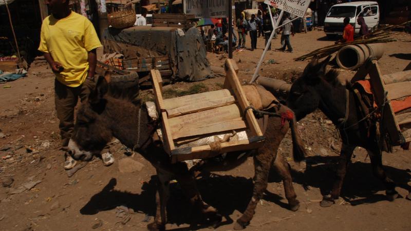 7. Imágenes de Addis Abeba, Etiopía