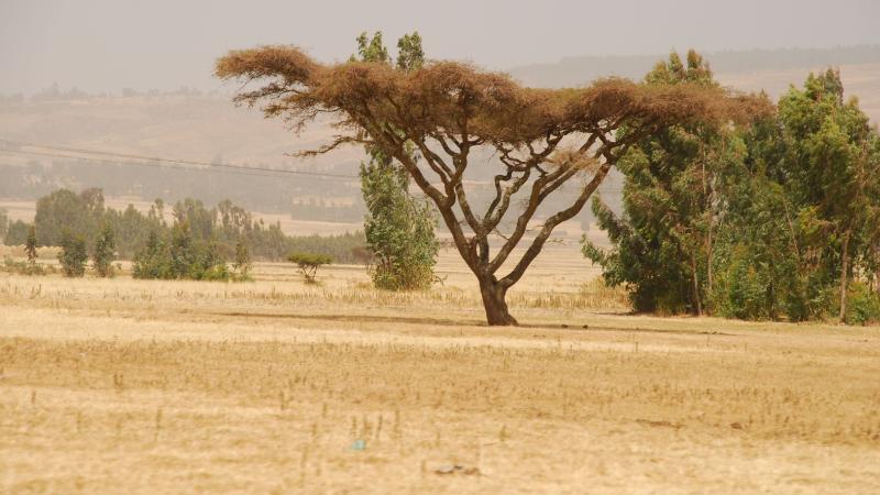 16. Imágenes de Addis Abeba, Etiopía