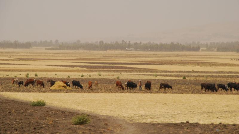 18. Imágenes de Addis Abeba, Etiopía