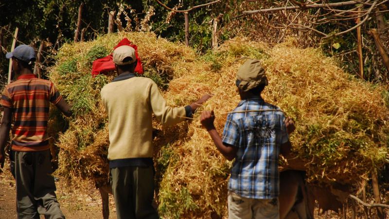 20. Imágenes de Addis Abeba, Etiopía