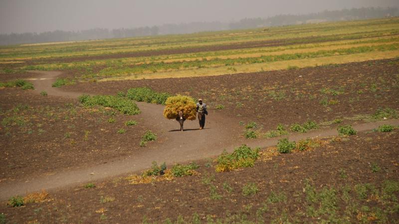 21. Imágenes de Addis Abeba, Etiopía