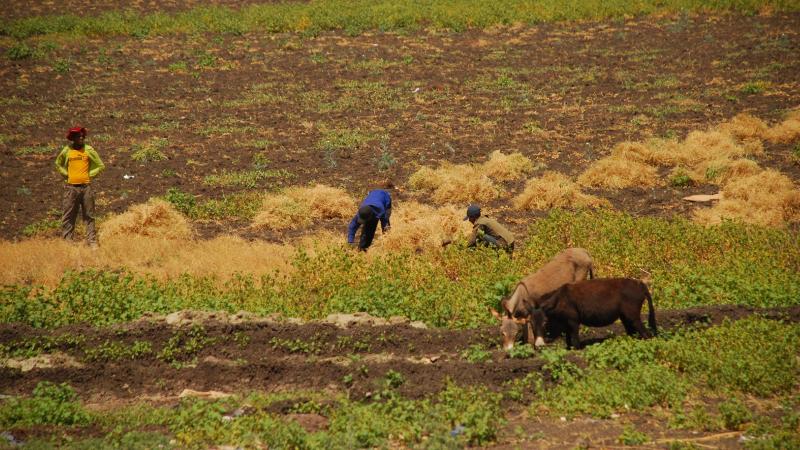 22. Imágenes de Addis Abeba, Etiopía