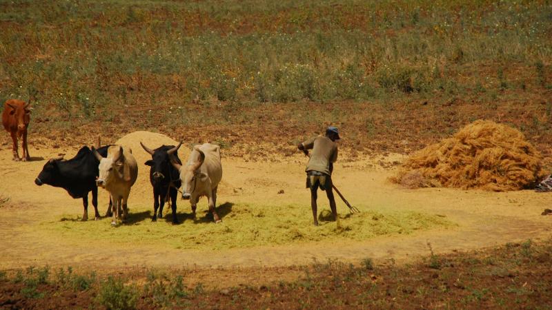 23. Imágenes de Addis Abeba, Etiopía