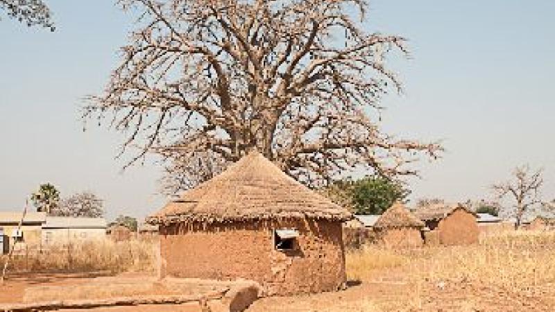 24. Regresode Pendjari. Hacia Boukoumbe