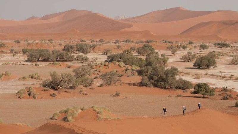 13. Sossusvlei