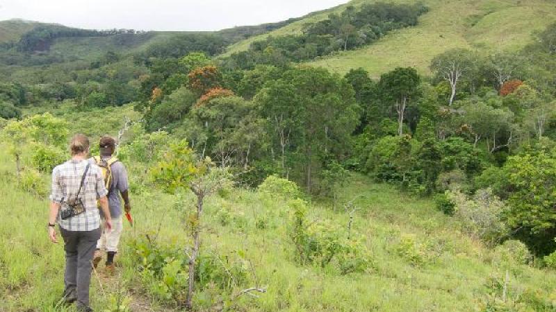 8. Lope Parque Nacional