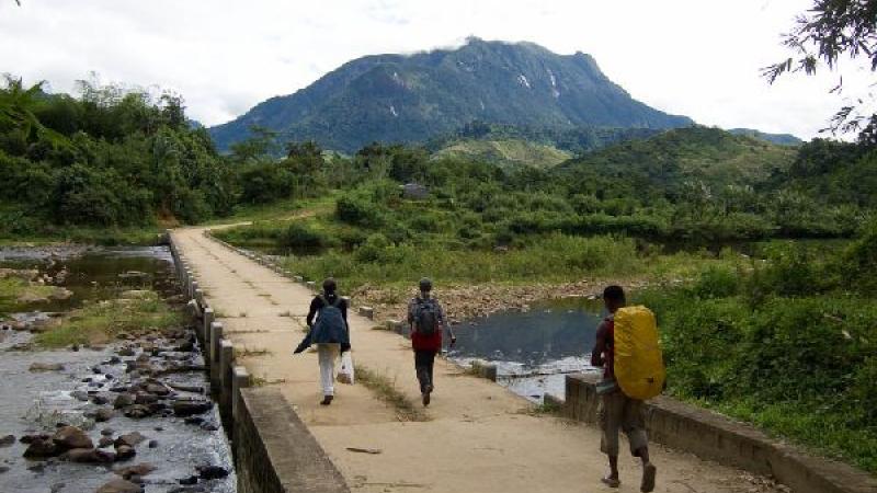 6. Parque Nacional Marojejy