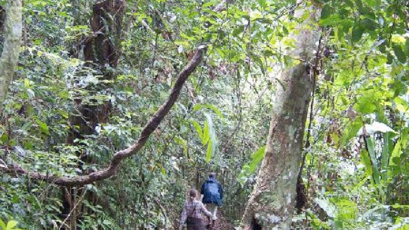 8. Parque Nacional Marojejy