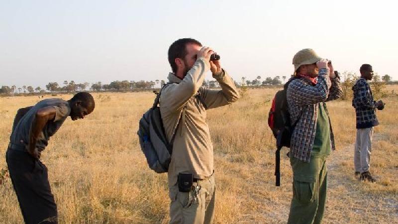 3. BoroRiver y Baobab Island