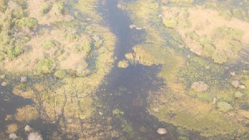 6. Okavango. Avioneta