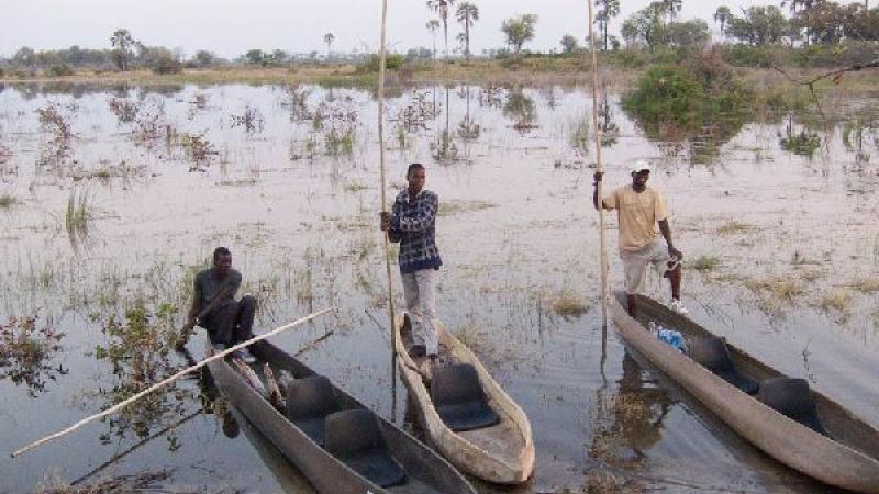 10. Okavango. Regreso al Campamento