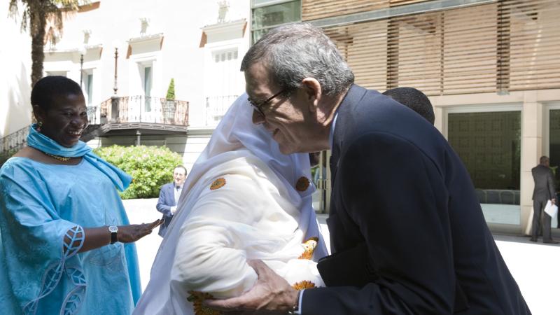 27. Reunión del Consejo Diplomático de Casa África en Madrid con motivo del Día de África, África Vive 2012