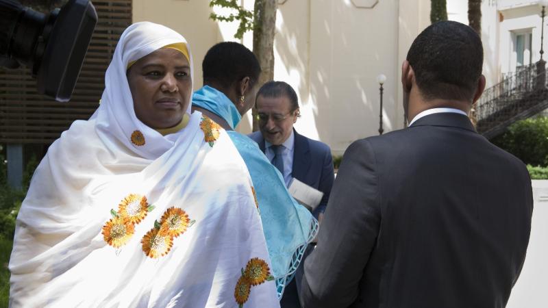 29. Reunión del Consejo Diplomático de Casa África en Madrid con motivo del Día de África, África Vive 2012
