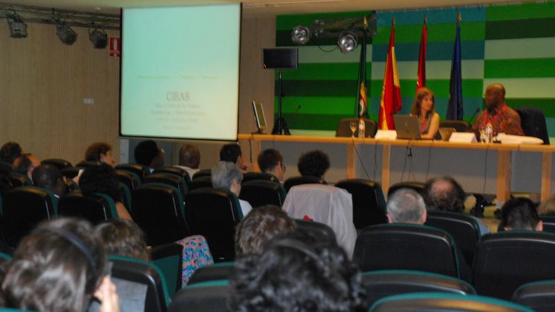 17. Imagen de la presentación de la conferencia de Adebayo Olukoshi, Director del Instituto Africano para el Desarrollo y Planificación