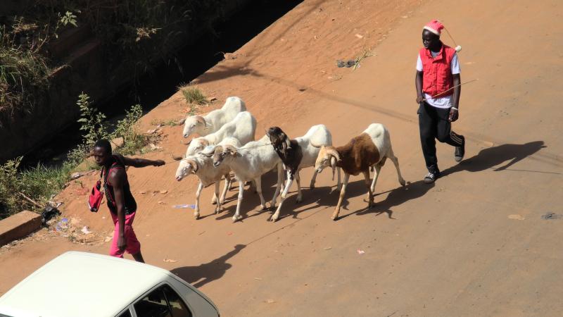 20. Imágenes de la ciudad de Bamako, Mali