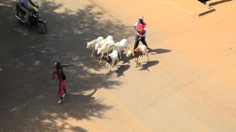 21. Imágenes de la ciudad de Bamako, Mali