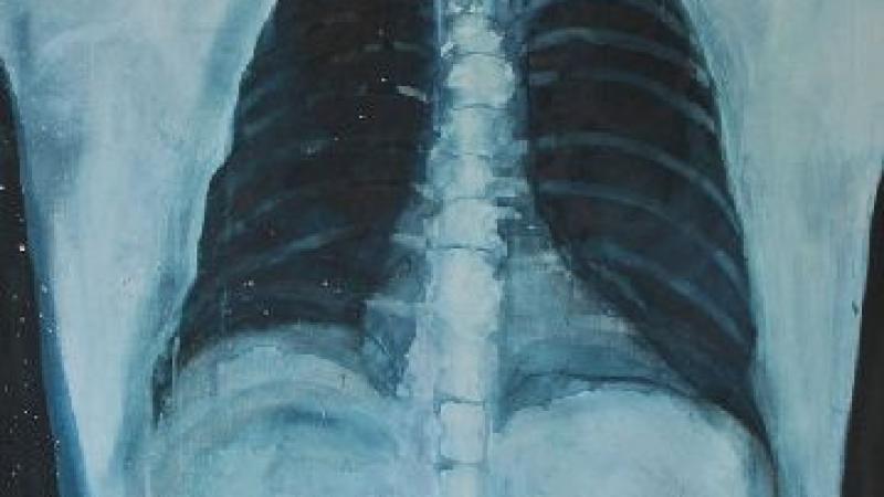 7. Imagen de Lungs, obra realizada por Conor Ralphs para la residencia artística en Hangar (Barcelona), 2012