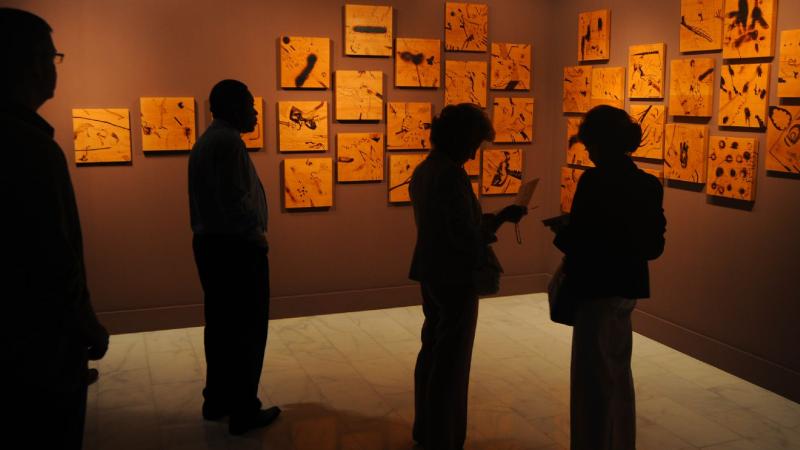8. Inauguración de la exposición en Casa África AEA Tubab: ¿África es así, m’zungu?, 2008