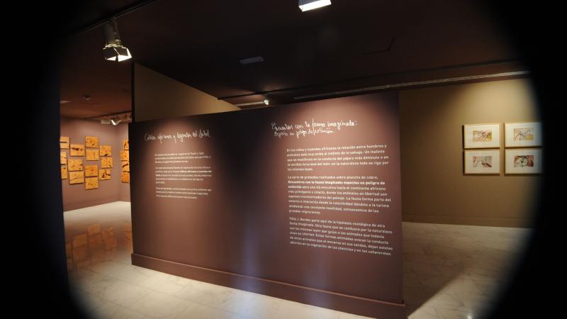 18. Imagen de la exposición en Casa África AEA Tubab: ¿África es así, m’zungu?, 2008