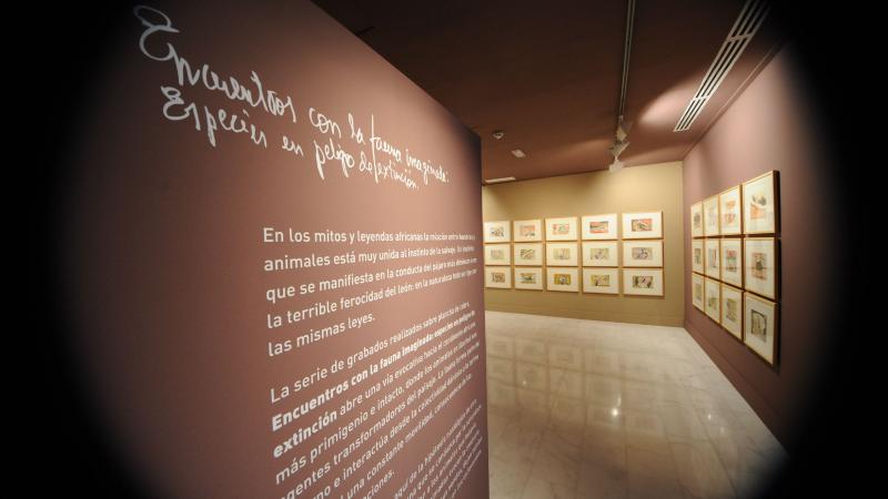 20. Imagen de la exposición en Casa África AEA Tubab: ¿África es así, m’zungu?, 2008