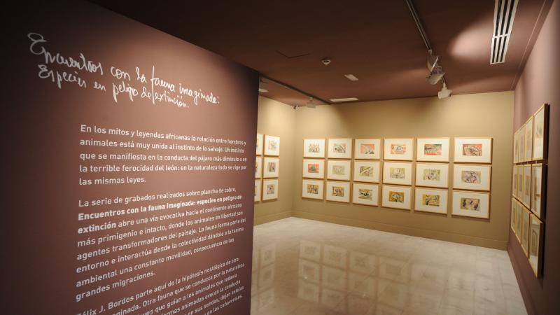 22. Imagen de la exposición en Casa África AEA Tubab: ¿África es así, m’zungu?, 2008